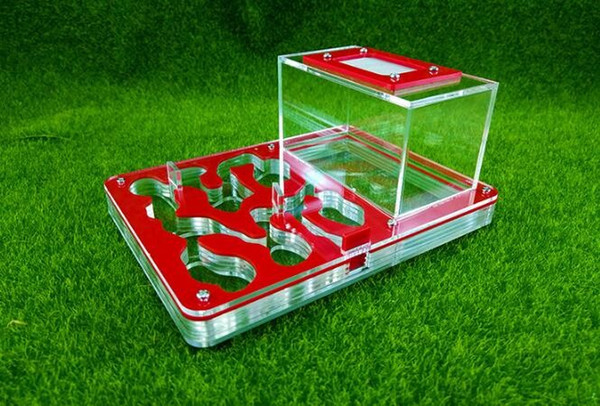 Big Transparent Ant Nest New Ants Farm Acrylic Ant Workshop Insect Cages Granja de hormigas nid fourmis Villa Pet Mania Ant Farm