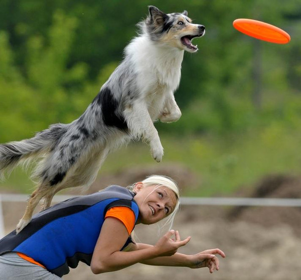 Silicone Frisbee Soft Dog Pet Toy Safe Nontoxic Protective for Tooth Flying Frisbee Colorful 17.5cm