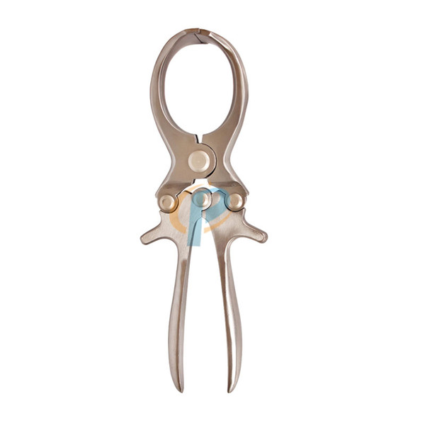 Pig Bloodless Castrator Stainless Steel Material Animal Sterilization Tool Dairy Farm Uing