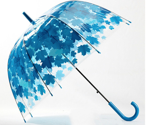 Wholesale 4 Colors Leaves Cage Umbrella Transparent Rainny Sunny Umbrella Parasol Cute Umbrella Women Cute Clear Paraguas