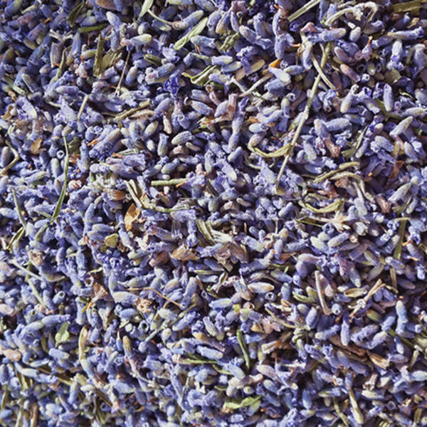 1kg Organic Dried Lavender Flower Chinese Herbal Laverder Filler Spice FT-047 wholesale