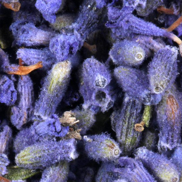 1000g 5-start Natural Dried Lavender Tea Organic Flower Tea Bloom Buds Chinese Herbal Tea Skin Food Bulk Lavender Flowers FT-035 wholesale