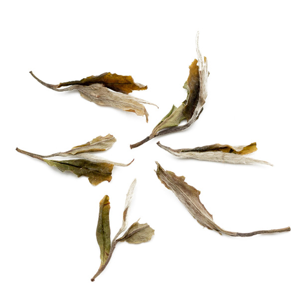 Chinese Bai Mu Dan White Tea Yuqian Second Grade, Organic Peony White Tea, Fuding Bai Cha Bai Mudan