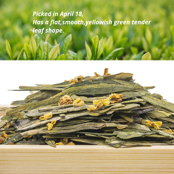 Organic Chinese Green Tea Xihu Long Jing with Osmanthus West Lake Dragon Well Longjing Osmanthus Flavor Gui Hua Longjing Green Tea Health
