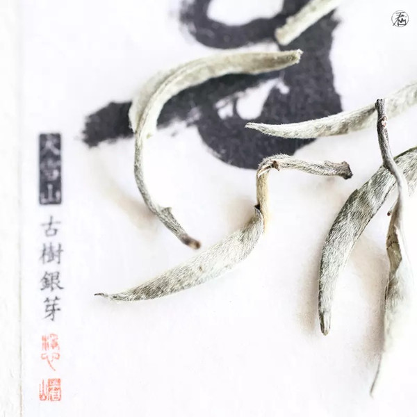 Ancient trees silver bud white tea silver pin white ancient method Yin dry before the big snow mountain honey charm left incense part of the