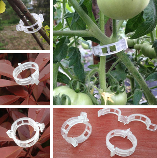 Hot high quanlity Garden Plant Support Plastic Clips tied rattan clip tomato Ring buckle Garden Tools T7I5019