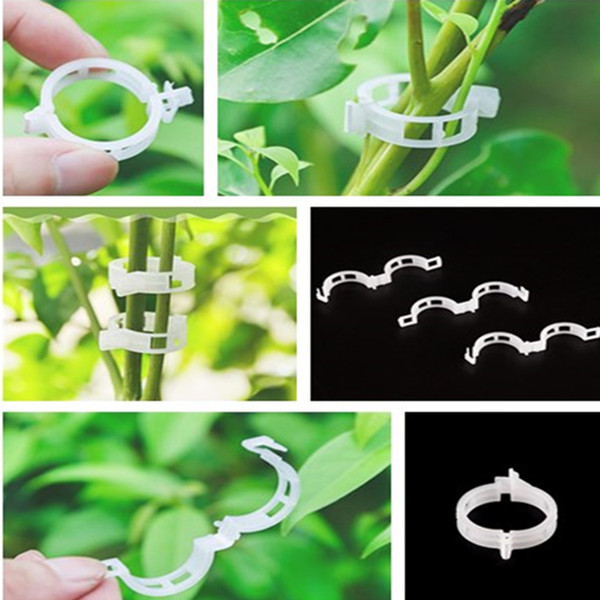 Hot high quanlity Fixed clip vegetable melon Plant Support Plastic Clips tied rattan clip tomato Ring buckle Garden Tools T7I5018