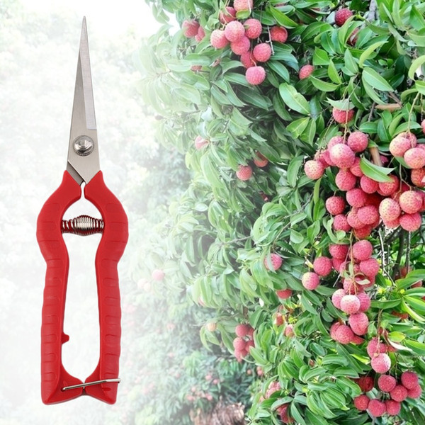 gardening grass scissors chopper garden bonsai tools plant grafting tool pruner Pruning Cutter Flower Shears Secator Hand Tool