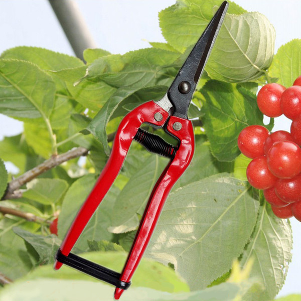 Garden Scissors For Flower Fruit Tree Pruner Trimmer Pruning Carbon steel Shears tools Straight Head Garden Shear