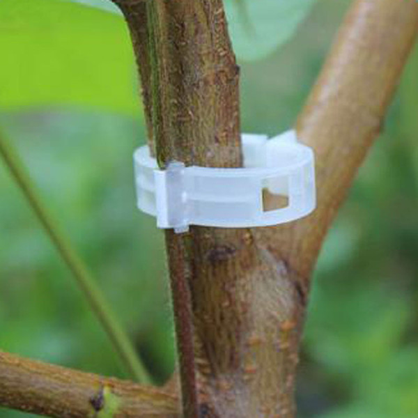 New Durable Plastic Sling Hanging Clips Fastener Plant Tomato Vegetable Bush Tendril Binder Farming Clip Fixing Clips