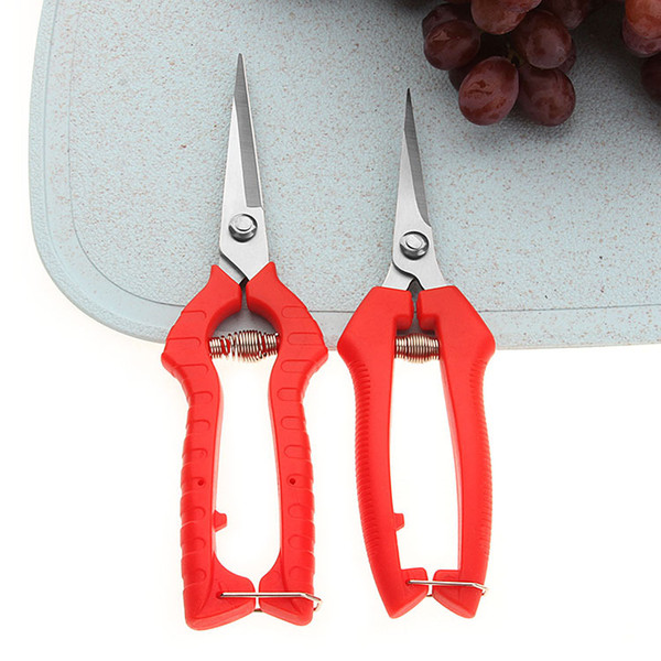 Preferential and practical horticultural pruning fruit bud scissors flower fruit grape pruning scissors