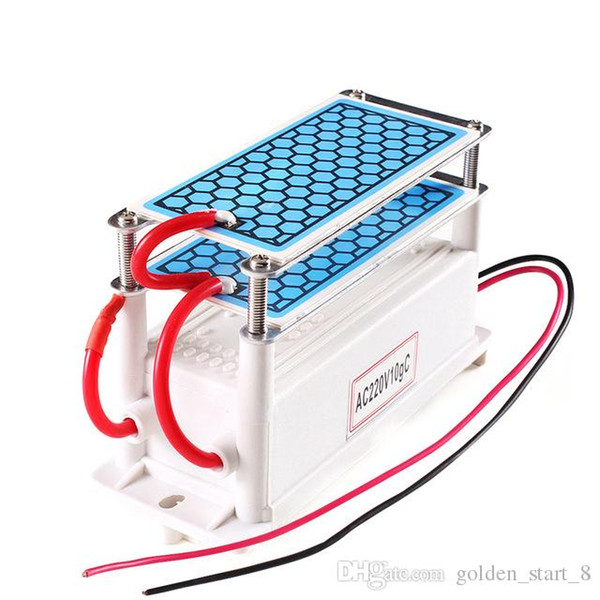 Portable Ceramic Ozone Generator 220V/110V 10g Double Integrated Long Life Ceramic Plate Ozonizer Air Water Air Purifier