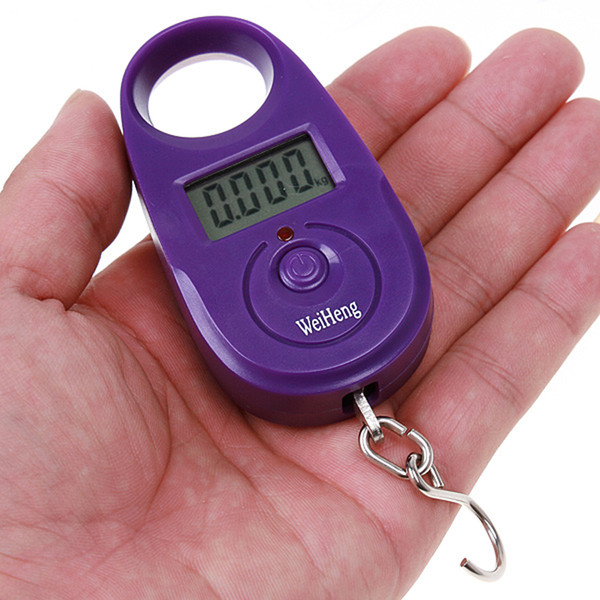 25kg x 5g Mini Digital Scale Portable LCD Weight Balance Electronic Weighing Scale Hanging Luggage Scale Pocket Size