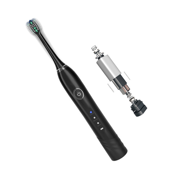 Sonic Electric Toothbrush S200 Ultrasonic Intelligent with 2 Replaceable Brush Heads Hygiene USB Rechargeable Waterproof