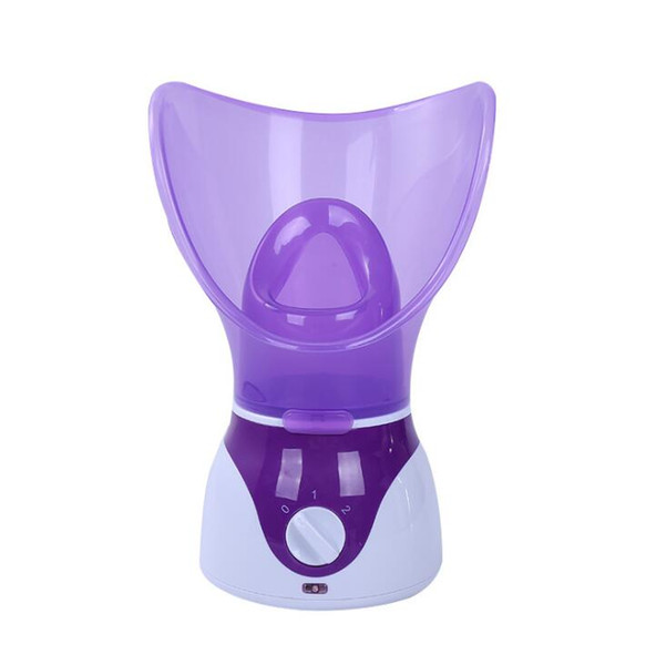 Sprayer fumigation therapy home steaming face Facial Steamers
