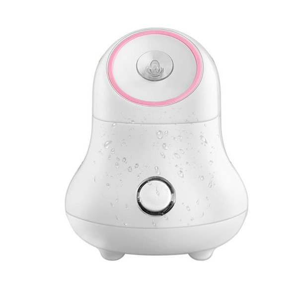 Fruit Vegetable Facial Face Steamer Spa Beauty Instrument Nano Spray Meter moisturizing household water purifier humidifier 2 orders