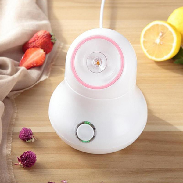 High quality Fruit Vegetable Facial Face Steamer Spa Beauty Instrument Nano Spray Meter moisturizing