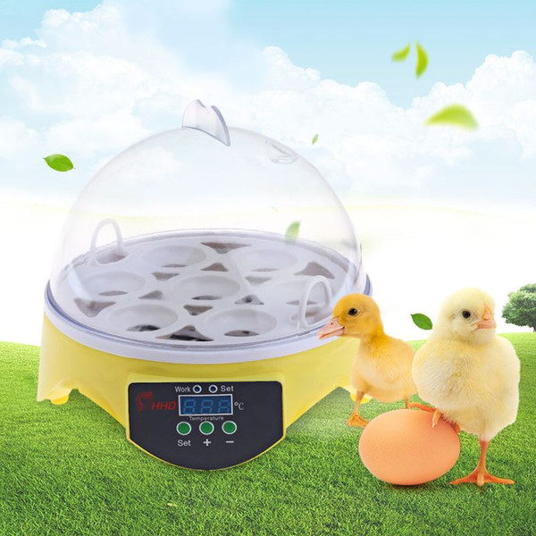 7PCS Eggs Automatic Poultry Mini Incubator Temperature Control Automatic Poultry Bird Pet Hatcher Chicken Hatcher Machine