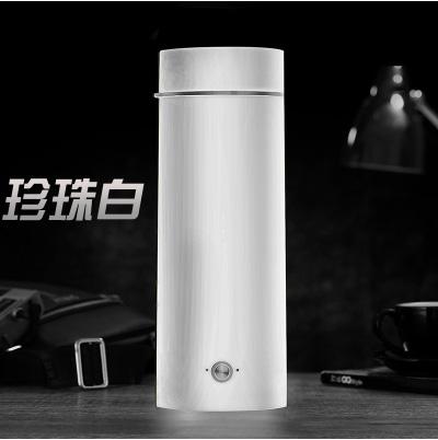 DMWD Portable mini Electric Kettle water thermal heating boiler travel Stainless Steel tea pot coffee milk boiling cup 110V 220V