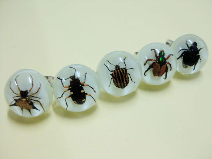 wholesale lots 120pcs mix style insect spider beetle glow in dark amber rings