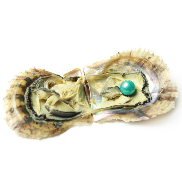 JNMM Akoya Oyster with Edison Pearls SINGLE Round Wish Pearl 11-13mm Pearl Mixed Colors Saltwater Oyster Sea Oyster