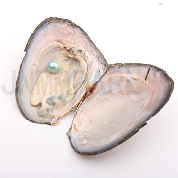 JNMM 200PCS/Lot Freshwater Pearl Oyster with Round Pearl Single 6-7mm Mixed Colors Pearl Oyster Vacuum Package Fancy Gift(total 200 pearls)