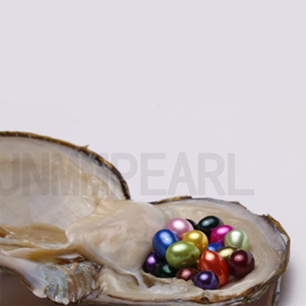 JNMM 20Pcs/lot 20 Grains 6-7mm Oval Pearls Multicolors Freshwater Pearls in Freshwater Oysters for Jewelry Making(total 400 Pearls)