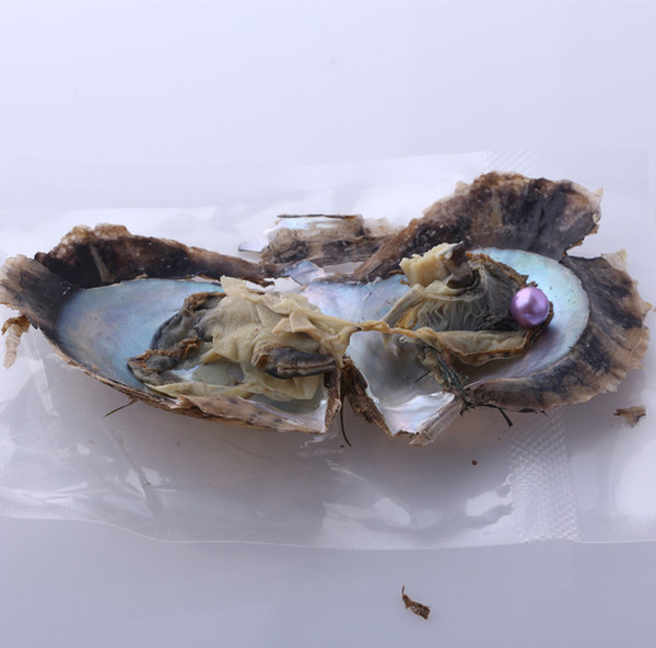 JNMM 25PCS/Lot Saltwater Akoya Oyster with SINGLE Round Pearl 11-13mm Good Grade Mixed Colors Making or Birthday Party Gifts