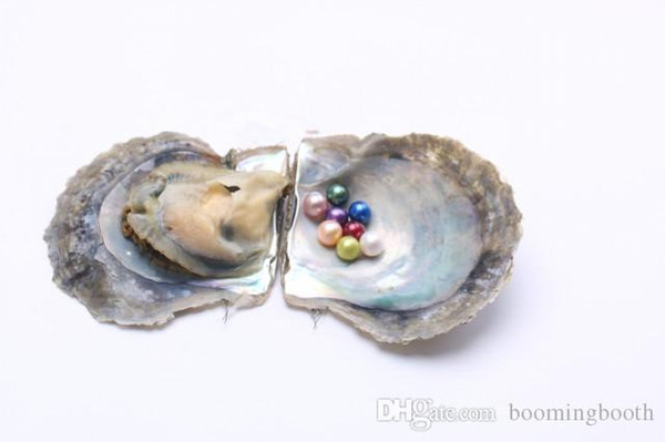 JNMM 15PCS/Lot Saltwater Akoya Oyster with SINGLE Round Pearl 11-13mm Good Grade Mixed Colors Making or Birthday Party Gifts