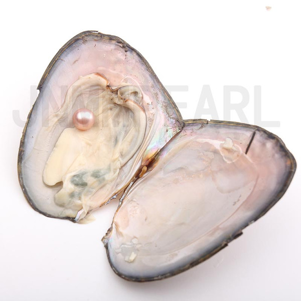 JNMM 10PCS/Lot Saltwater Akoya Oyster with SINGLE Round Pearl 11-13mm Good Grade Mixed Colors Making or Birthday Party Gifts