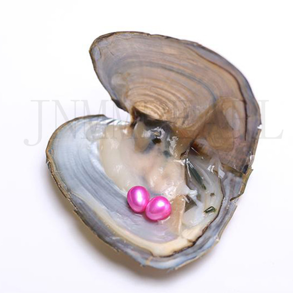 JNMM 20Pcs Oysters with Twin Mixed Colors 6-7 mm Rice Shape Freshwater pearls for Diy Gift Jewelry Vacuum-packed(total 40 Pearls)