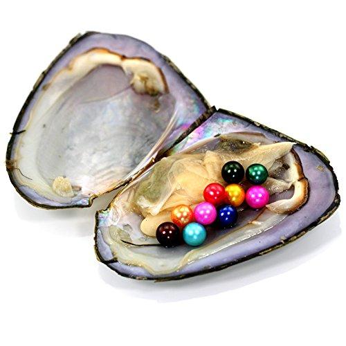 JNMM 20PCS/Lot Freshwater Oyster with TEN Grains Round Pearl 6-7mm Mixed Colors Gift DIY Vacuum Packaging Fancy Gift(total 200 pearls)