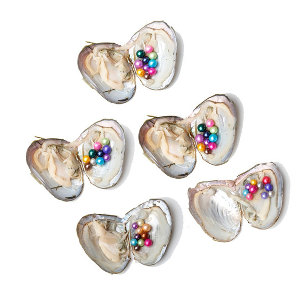 JNMM Freshwater Pearl Oyster with Single Round 6-7mm Pearl Mixed Colors for Accessories and Party Gifts