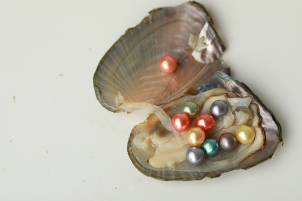 JNMM 1PCS/Lot Freshwater Pearl Oyster with TEN Grains Round 7-8mm Pearl Mixed Colors for Gift(total 50 pearls)