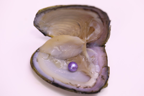 JNMM 30PCS/Lot Freshwater Pearl Oyster with Single Round Pearl 7-8mm Good Grade Mixed Colors New Arrival Mysterious