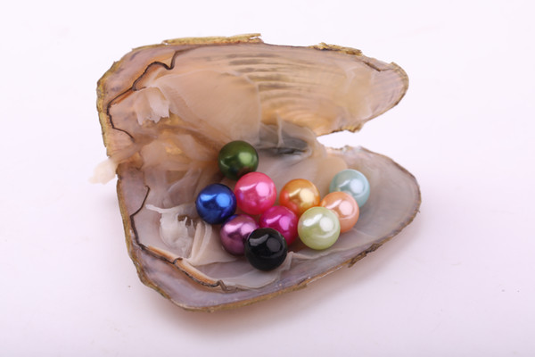 JNMM 3PCS/Lot Freshwater Pearl Oyster with TEN Grains Round 7-8mm Pearl Mixed Colors for Gift(total 30 pearls)