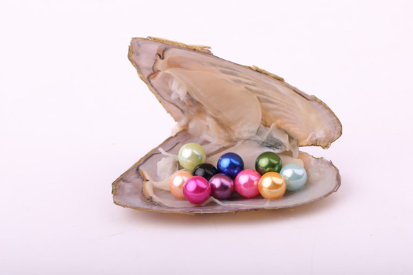 JNMM Freshwater Oyster Mussel Shell with TEN Grains Round 6-7mm Pearl Mixed Colors new arrival Mysterious