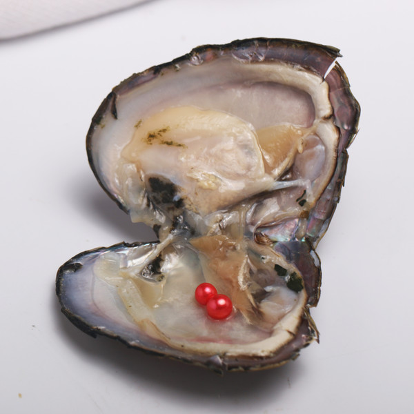 JNMM Freshwater Pearl Oyster with TWIN Round Pearl 6-7mm Mixed Colors for Kids Birthday Party Gift