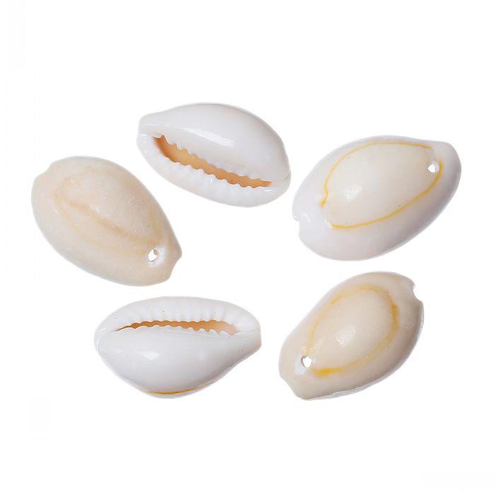 B40286 Shell Loose Beads Natural Spiral About 18mm x 13mm-12mm x 8mm,200PCs