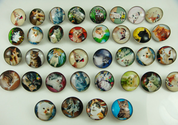 fashion Mixed NOOSA Chunks charm high quality alloy Chunk Snap Button charm for Cat Series Wholesale 18mm -U