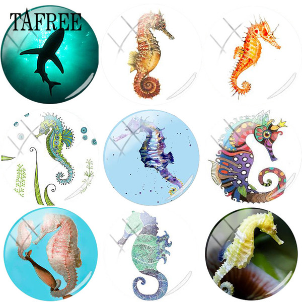 TAFREE Marine animal shrimp,fish,Sea horse Round Shape DIY Glass Cabohcon Art Picture Demo Flat Back Making Findings For Bracelets Keychains