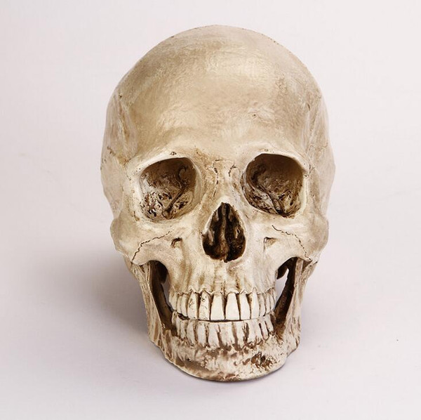 free shipping,Wholesale high-quality Human Skull Cranium Replica Resin Model Medical Teach Party Bar Prop Gold mannequin B183