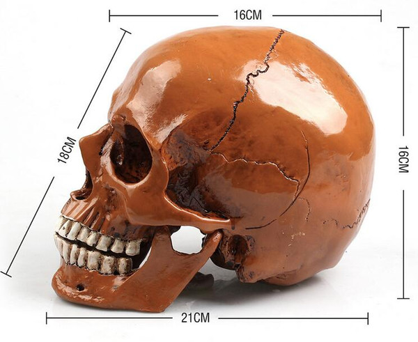 New 1: 1 Human Skull Cranium Replica Resin Model Medical Teach Party Bar Prop Yellow human skeleton model B181