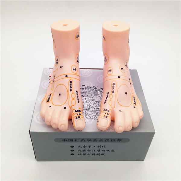 New Style Human Acupoint Foot Model Foot Mannequin Female Mannequin Factory Direct Sell