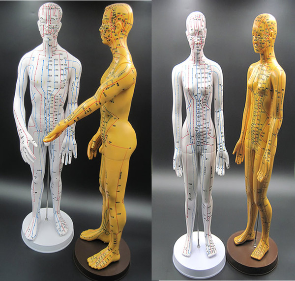 New Style Human Acupoint Mannequin Hot Sale Female&Male Mannequin Made In China