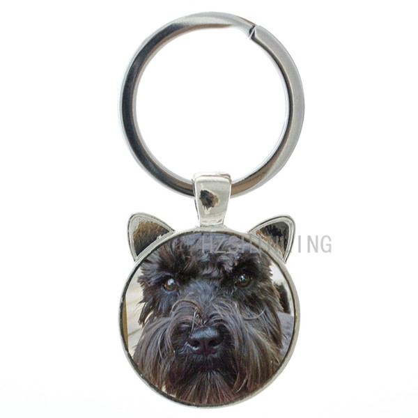 TAFREE Dog lover keychain Samoyed Yavrusu Resimleri Scottish Terrier Mini Schnauzer Shepherd Doberman puppy key chain ring holder CN772