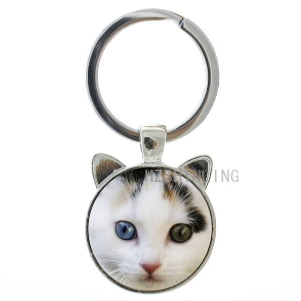 TAFREE Latest fashion Tsundere Cat key chain ring holder vintage cute funny Frown Cat glass metal keychain keyring for men women CN806