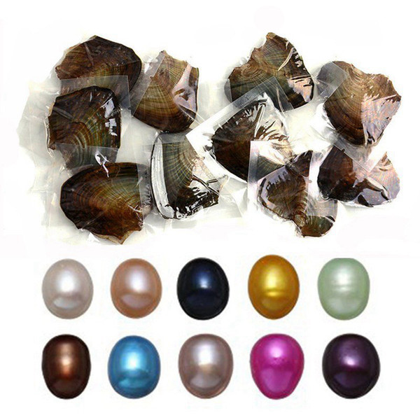 Natural Pearls Oyster With 6mm Dyed Oval Pearl Beads Inside Birthday Gifts Pearl Party DIY Loose Decorations Vacuum Packaging Wholesale