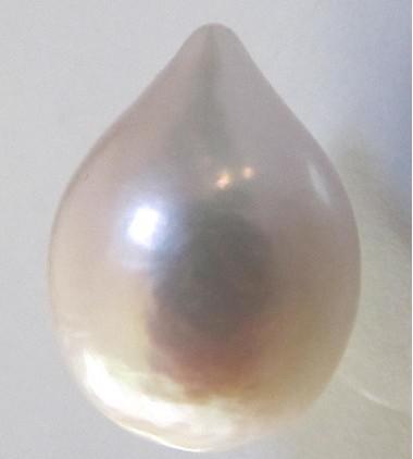 HUGE FINE NATURAL 16X11MM SOUTH SEA GENUINE WHITE LOOSE PEARL UNDRILLED