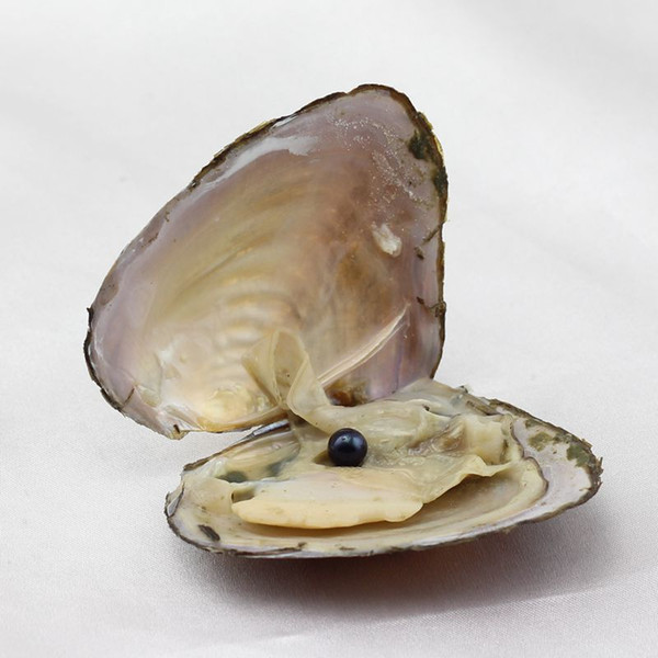 The latest mixed color pearl pure natural freshwater pearl oyster Akoya DIY jewelry bead making and wholesale package mail